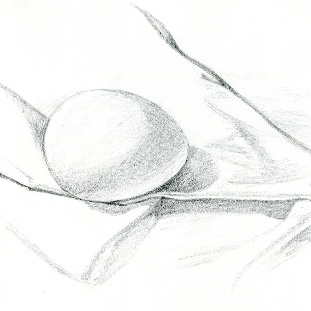 Basic Drawing With Melissa Miller Nece