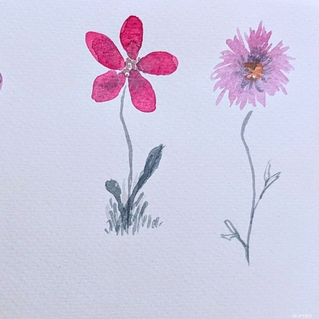 W-PT801 Watercolor Garden With Margot Griffin