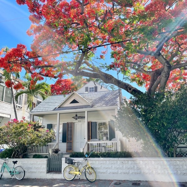 63rd Annual Key West Home Tours