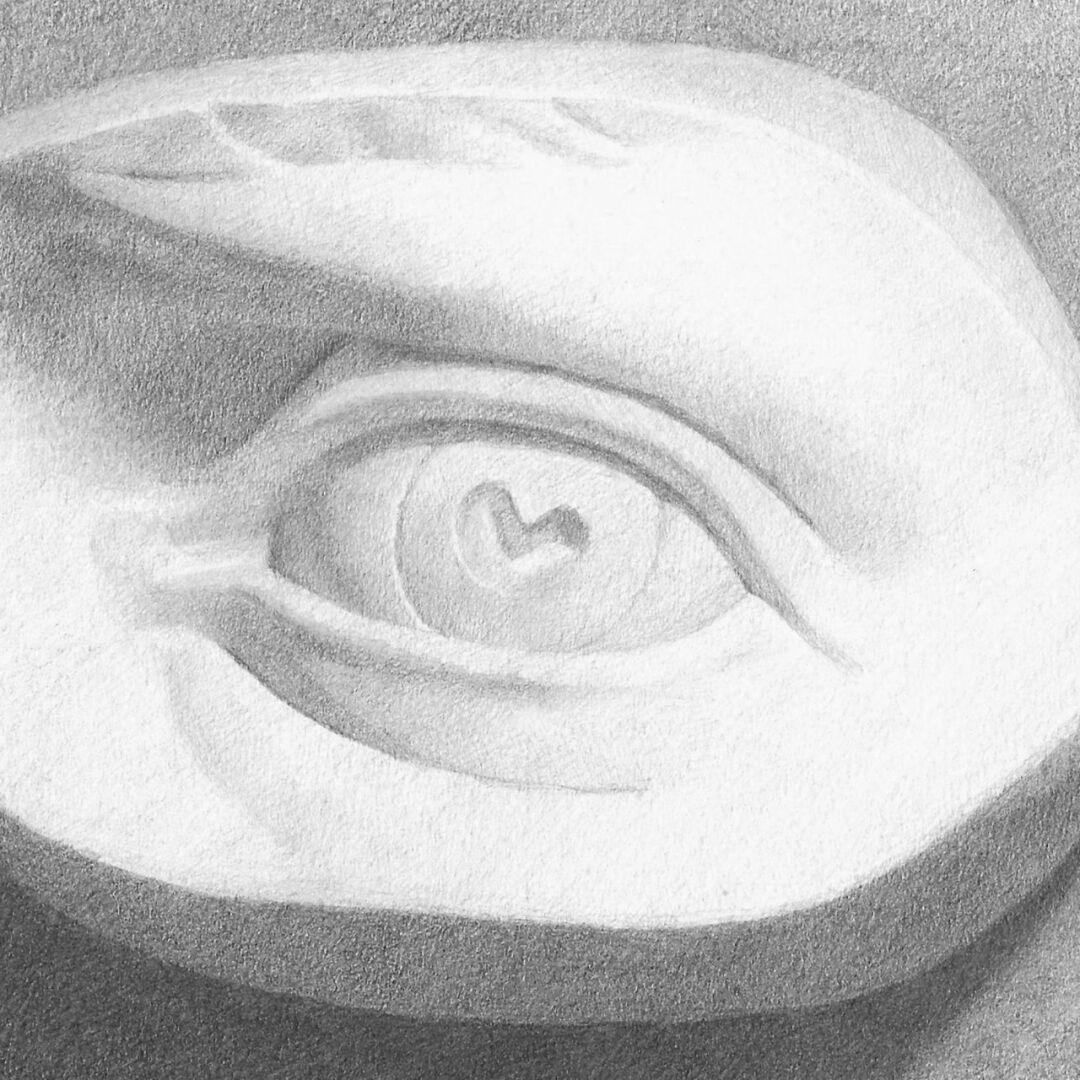 DR125 (5 Week) Drawing Atelier With Zoe Papas 