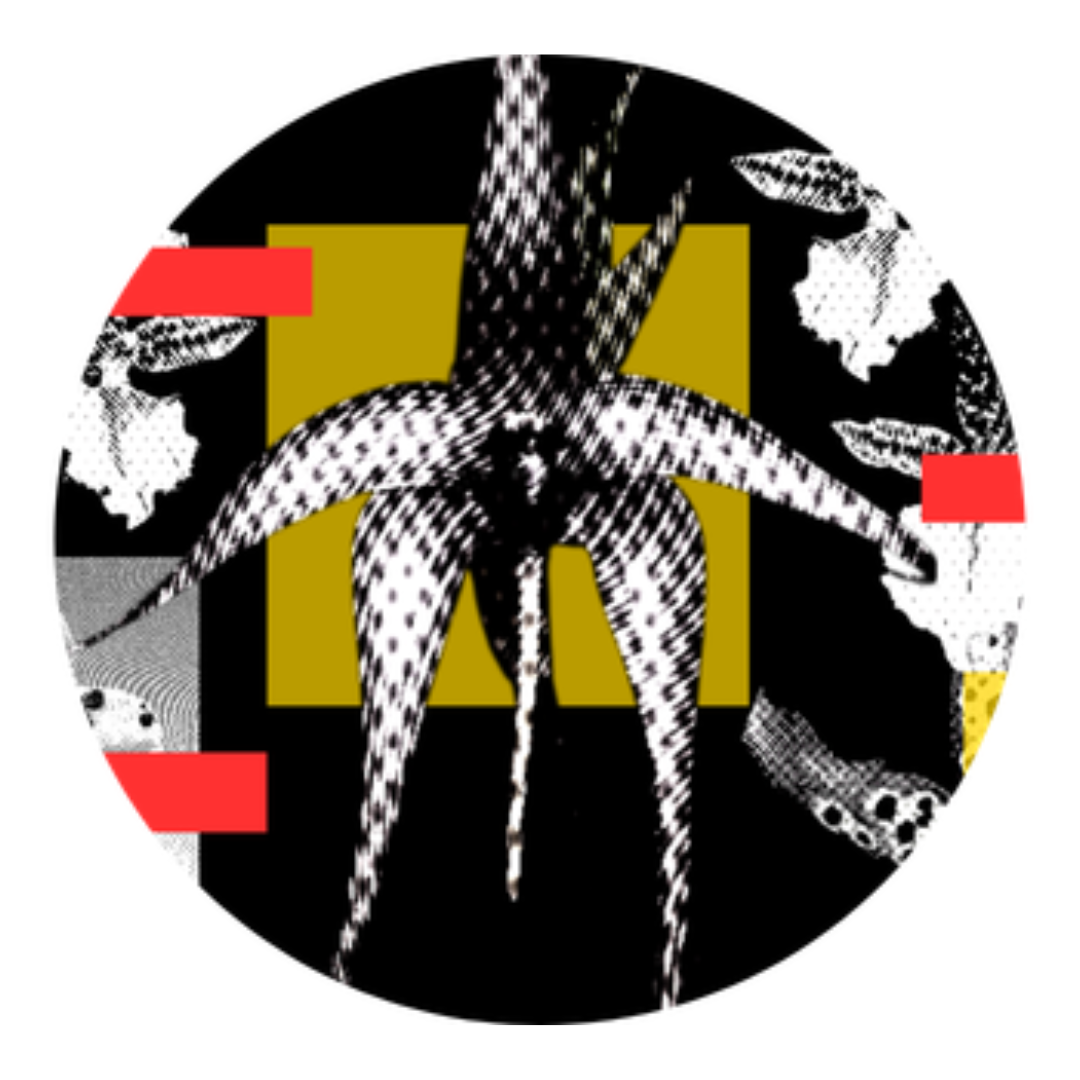 Syncopate Collective Presents THROUGH THE MOTION