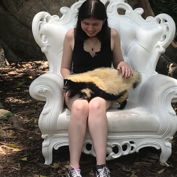 Flamingo Gardens' Featured Creatures Weekend