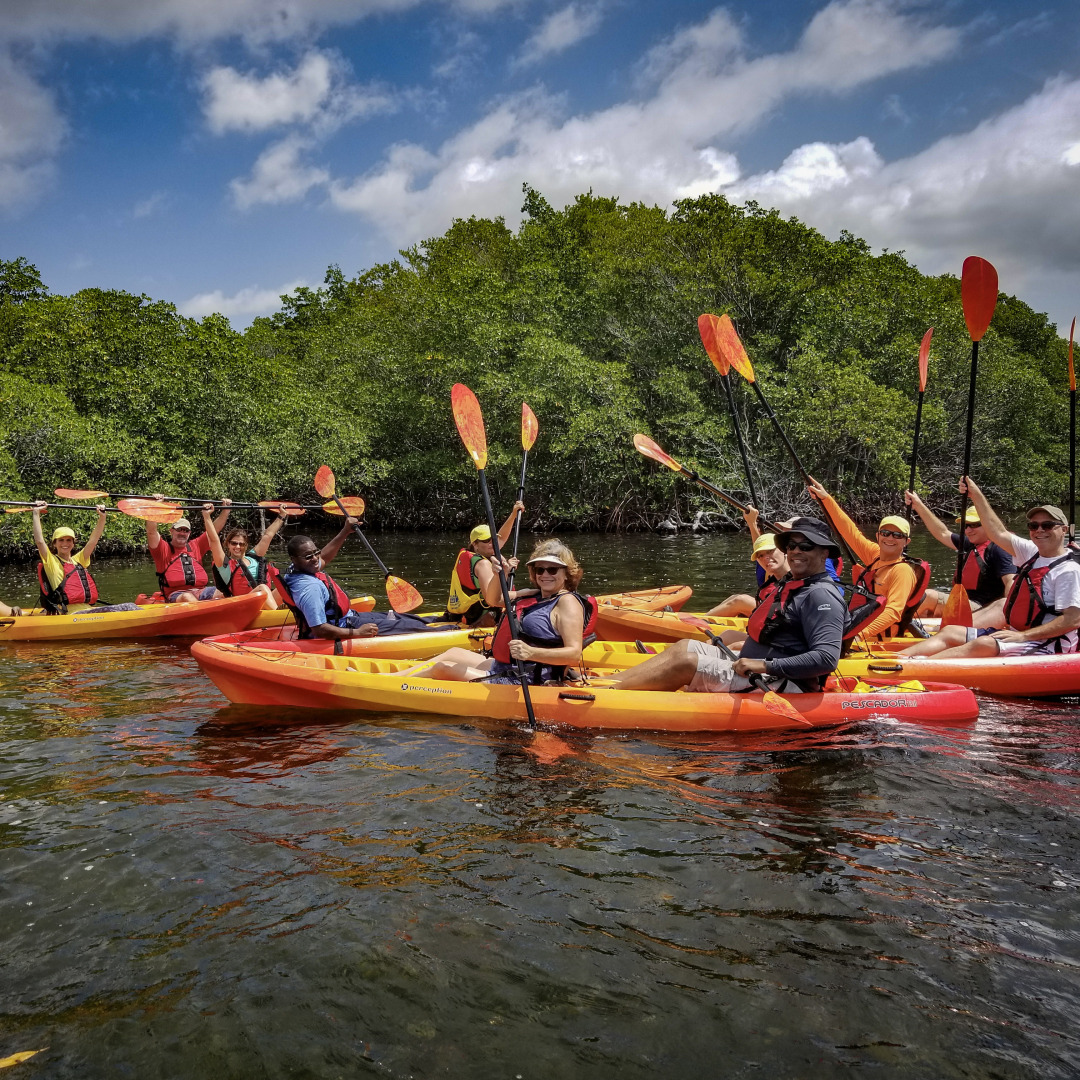 Wildlife Kayak Adventure