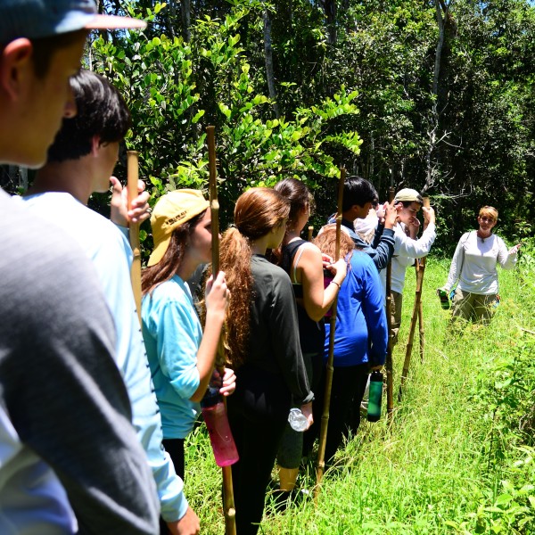 Deering Estate Junior Naturalists