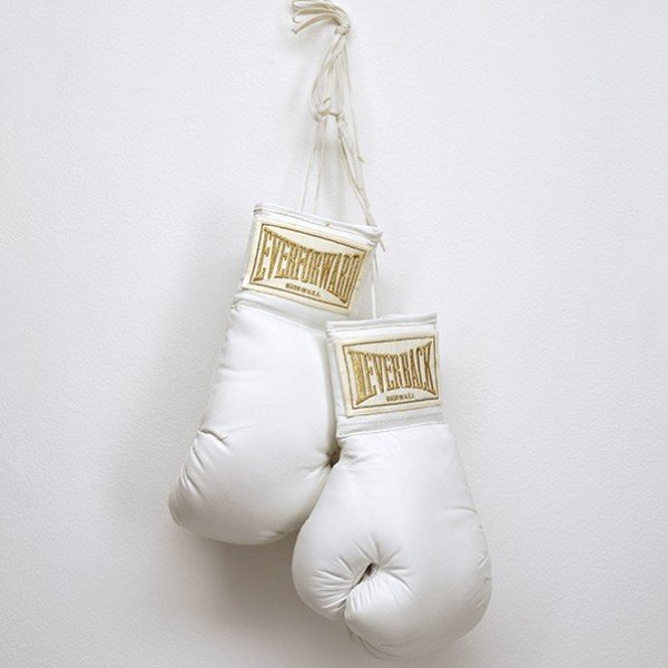 Member Preview: Gary Simmons: Public Enemy