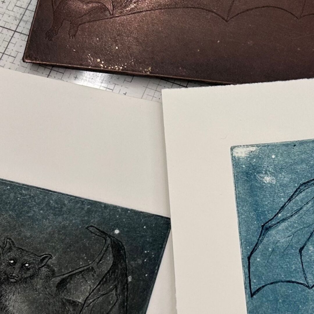 PR505 Advanced and Professional Intaglio Etching with Holly Bird