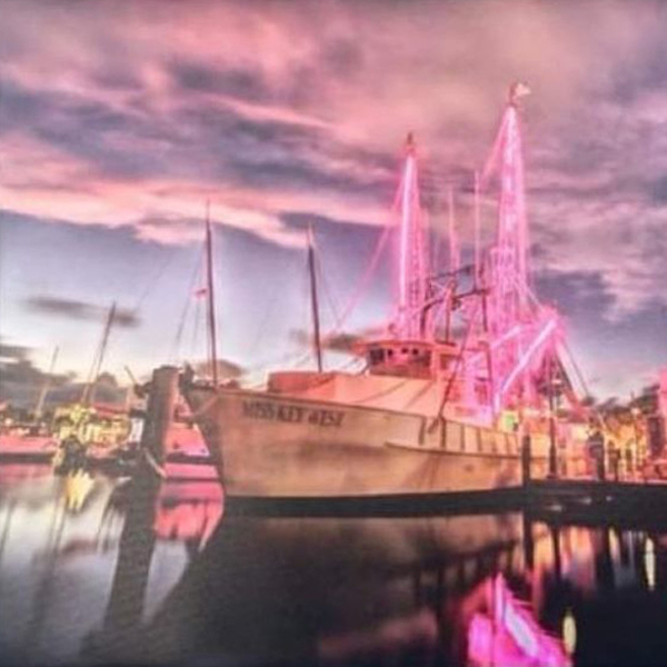 2023 Members Show "200 Years of Island Life"