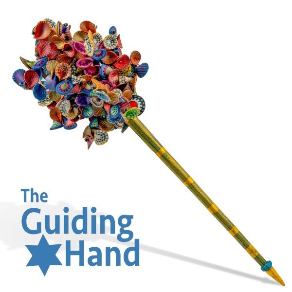 The Guiding Hand - The Barr Foundation Judaica: Collection of Torah Pointers