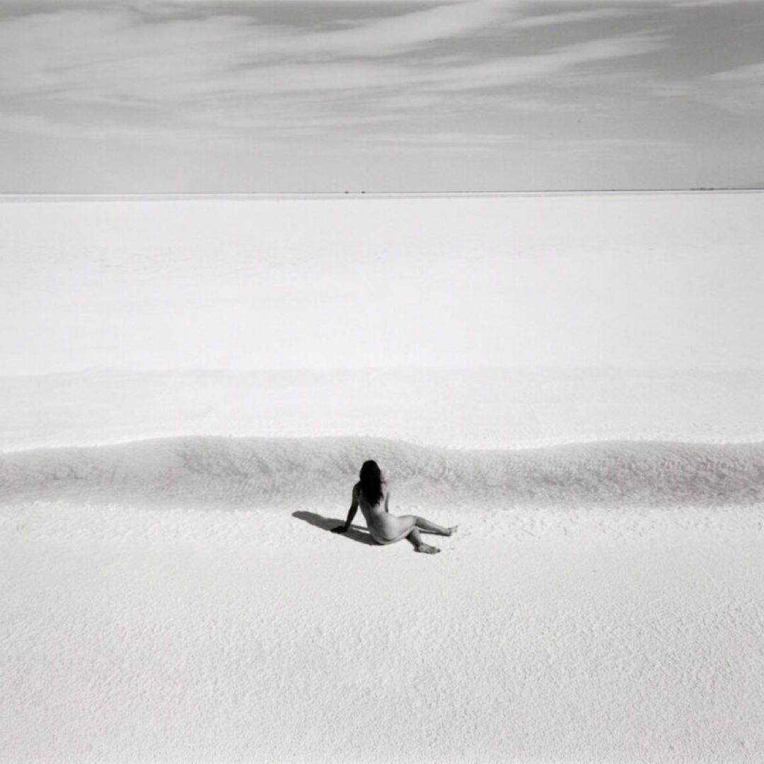 Focal Point: The David Hall Photography Collection