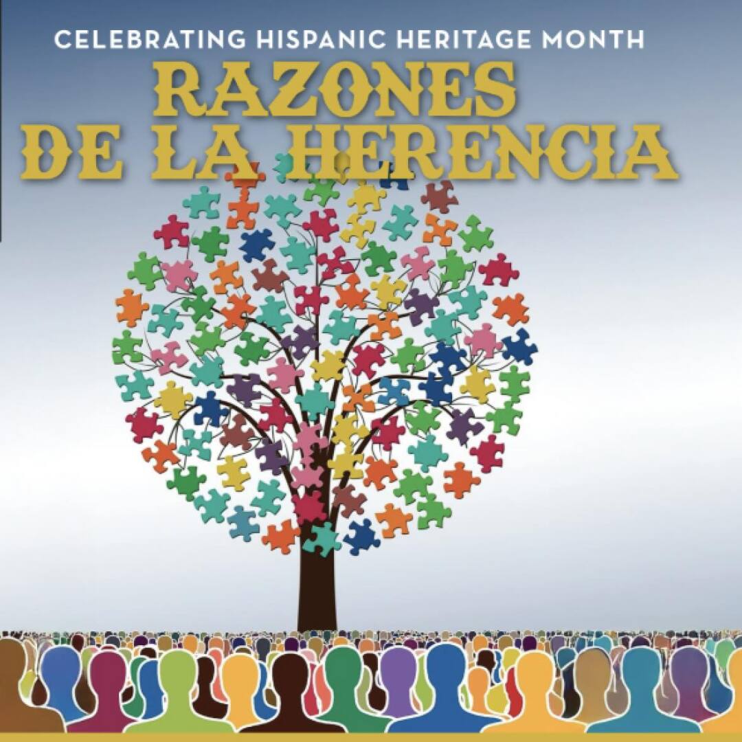 Razones De La Herencia