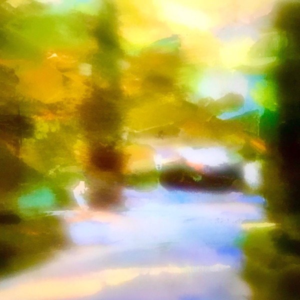 Solo Exhibition by Harriet Silverstein