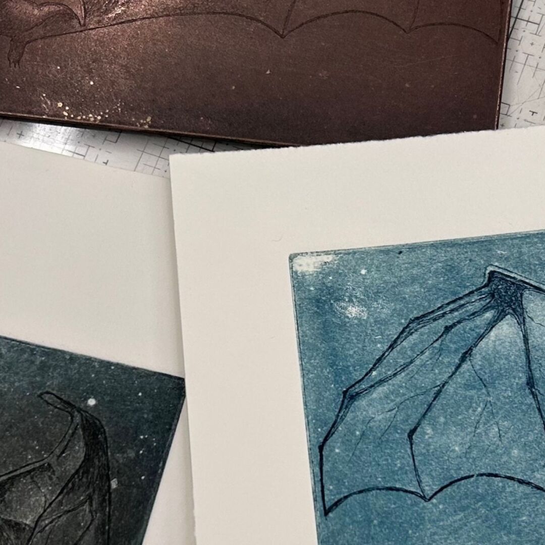 PR505 Advanced and Professional Intaglio Etching with Holly Bird