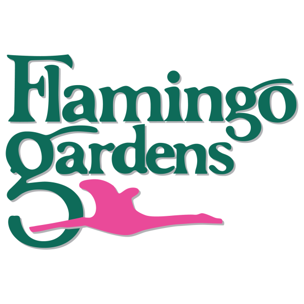 Dinosaurs Among Us at Flamingo Gardens