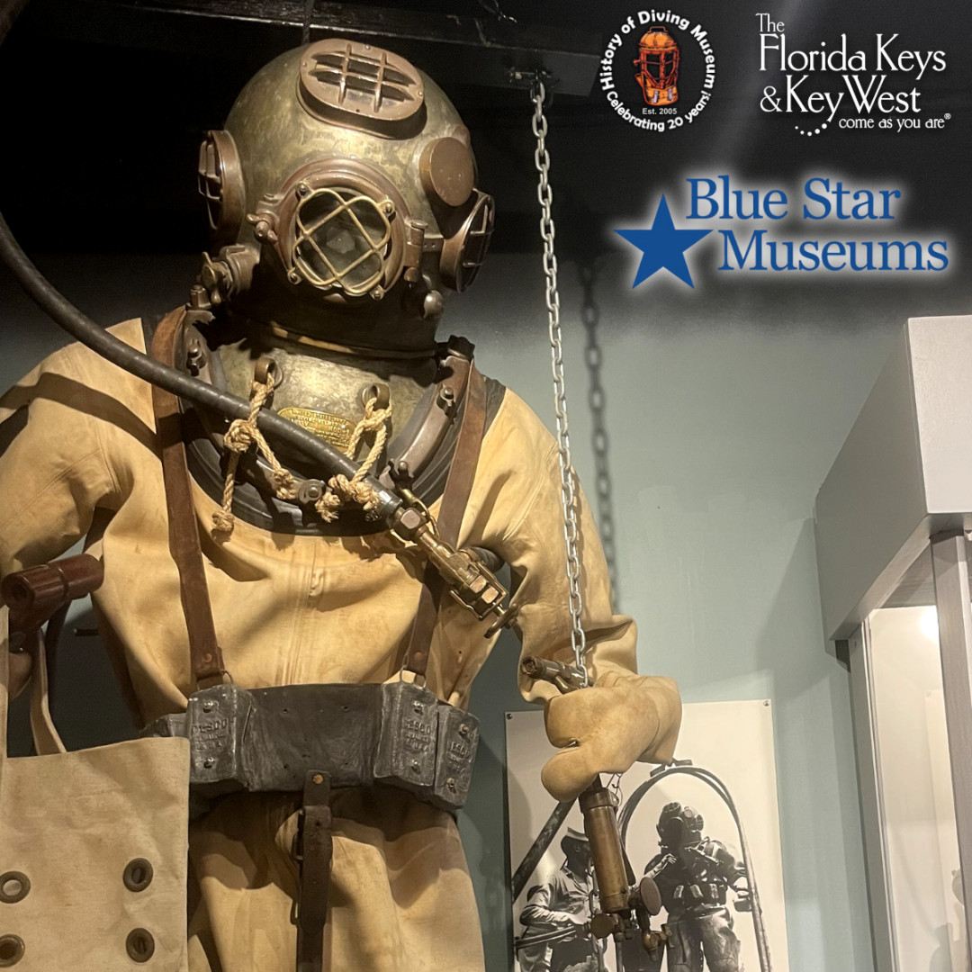 Blue Star Welcome Week!