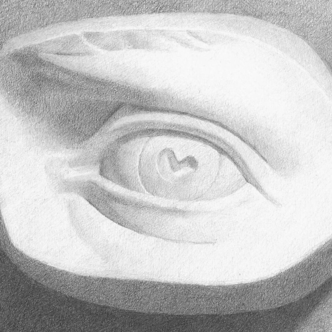 DR125 Drawing Atelier With Zoe Papas 