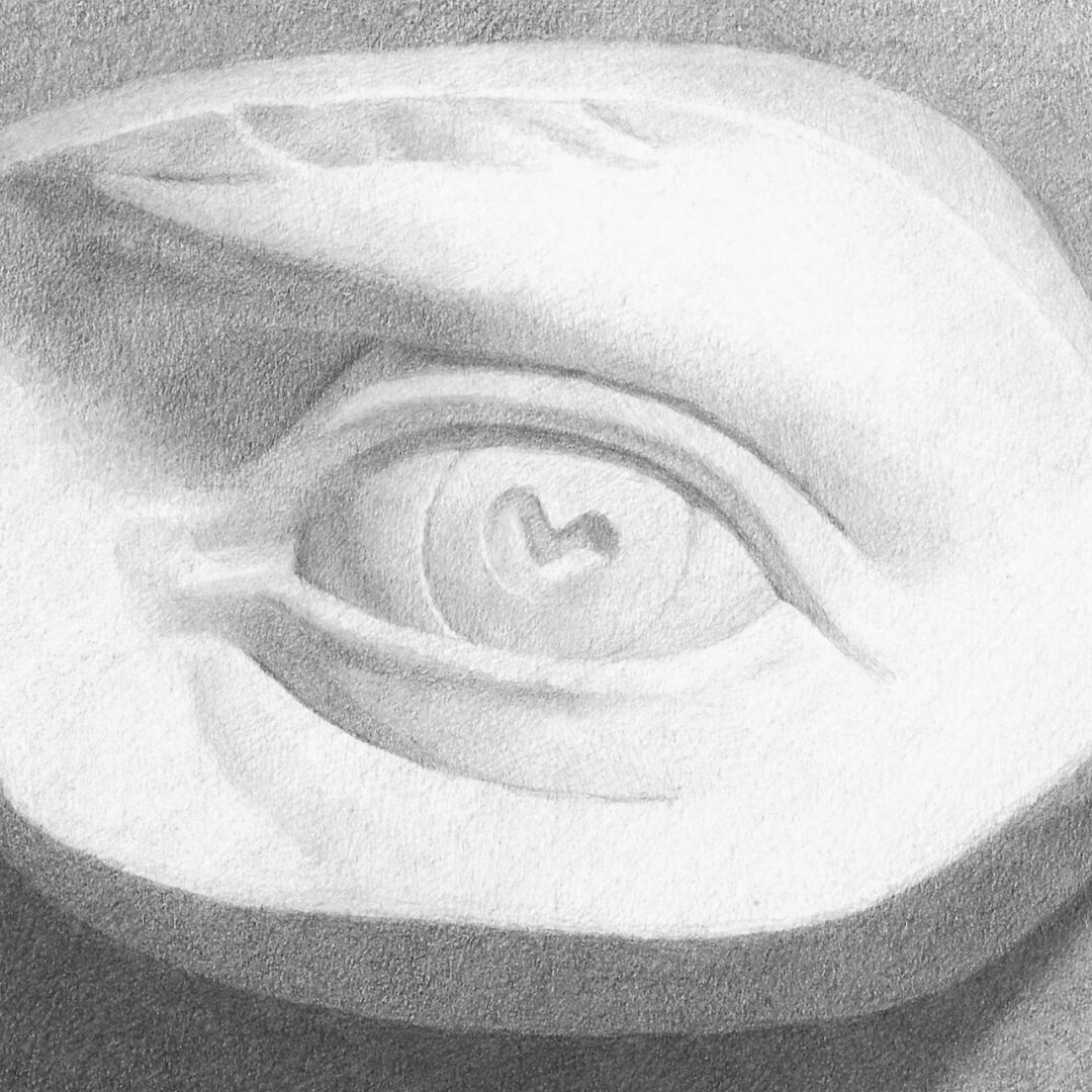 DR125 Drawing Atelier With Zoe Papas 