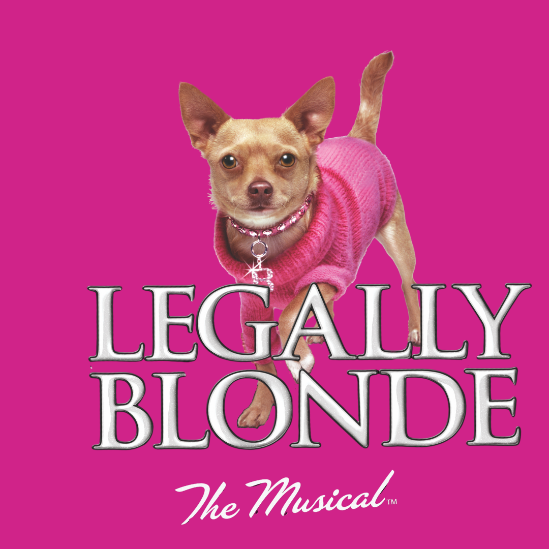 Legally Blonde (Goldner Conservatory Production, Grades 8-12)