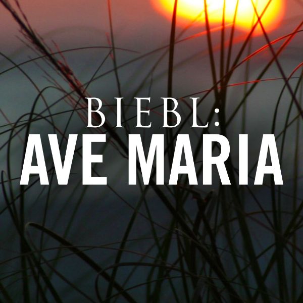 Seraphic Fire: Biebl - Ave Maria