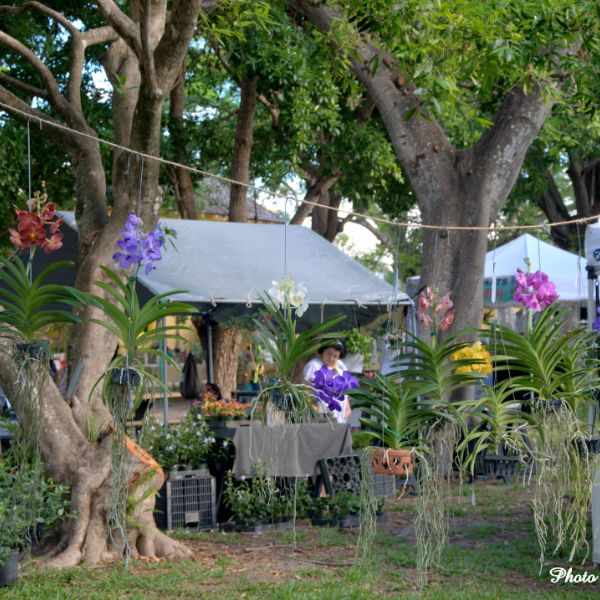 International Orchid & Garden Festival