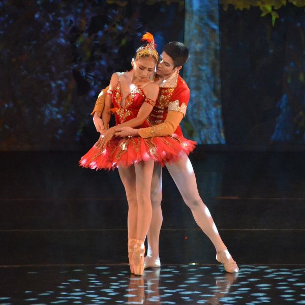 Firebird, Le Spectre de la Rose, Pentimento