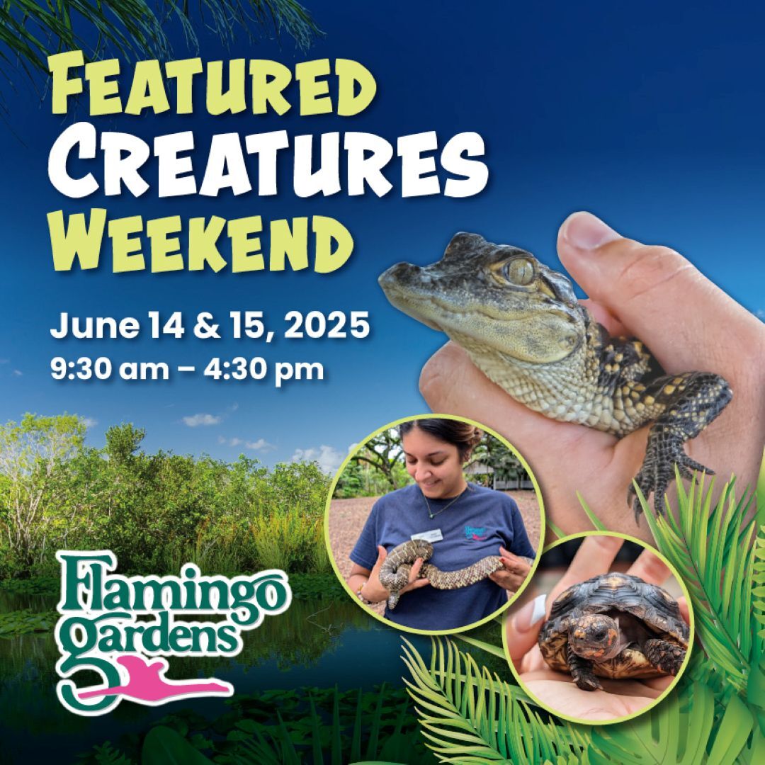 Featured Creatures at Flamingo Gardens