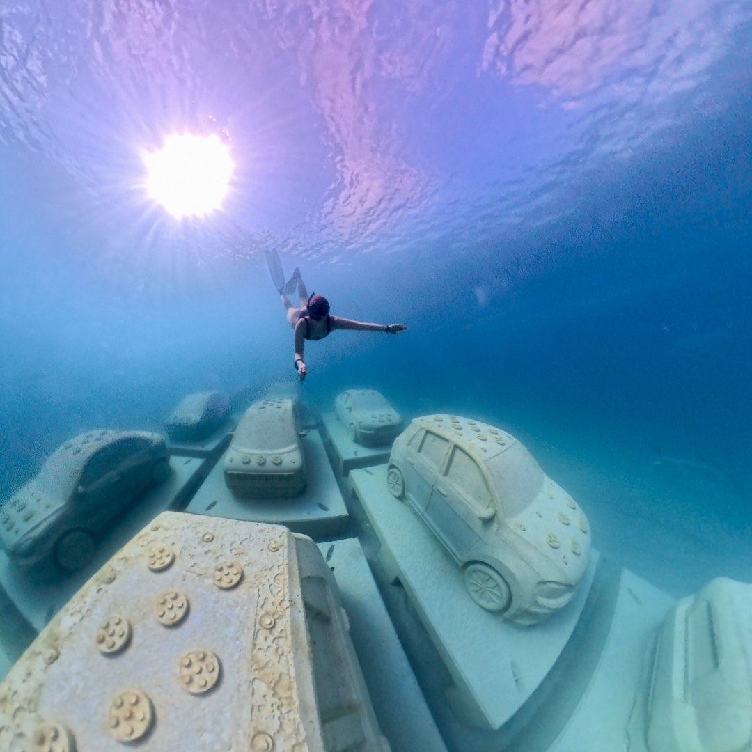 Imagine: Art in the Environment