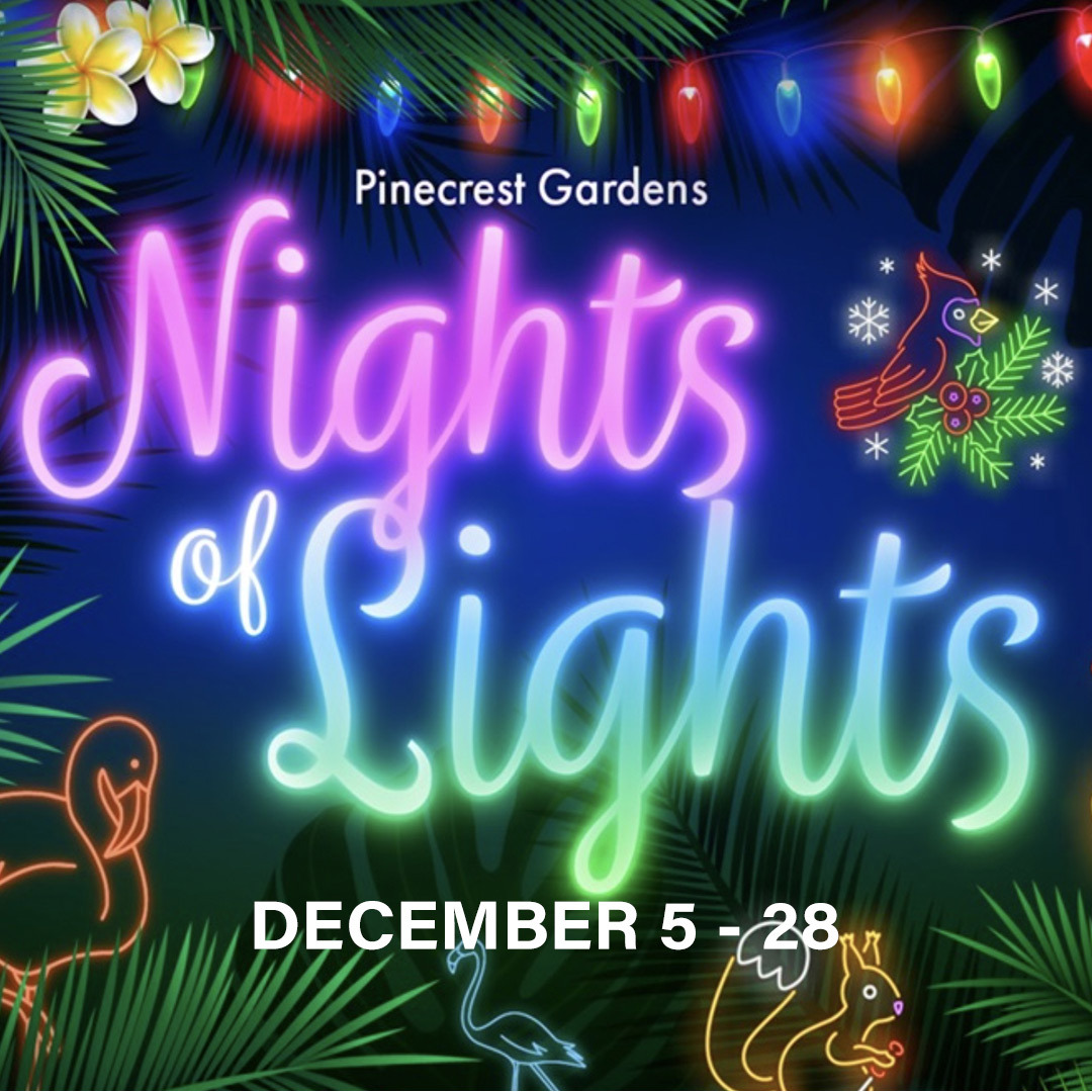 Nights of Lights festival