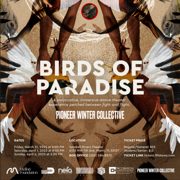 Birds of Paradise