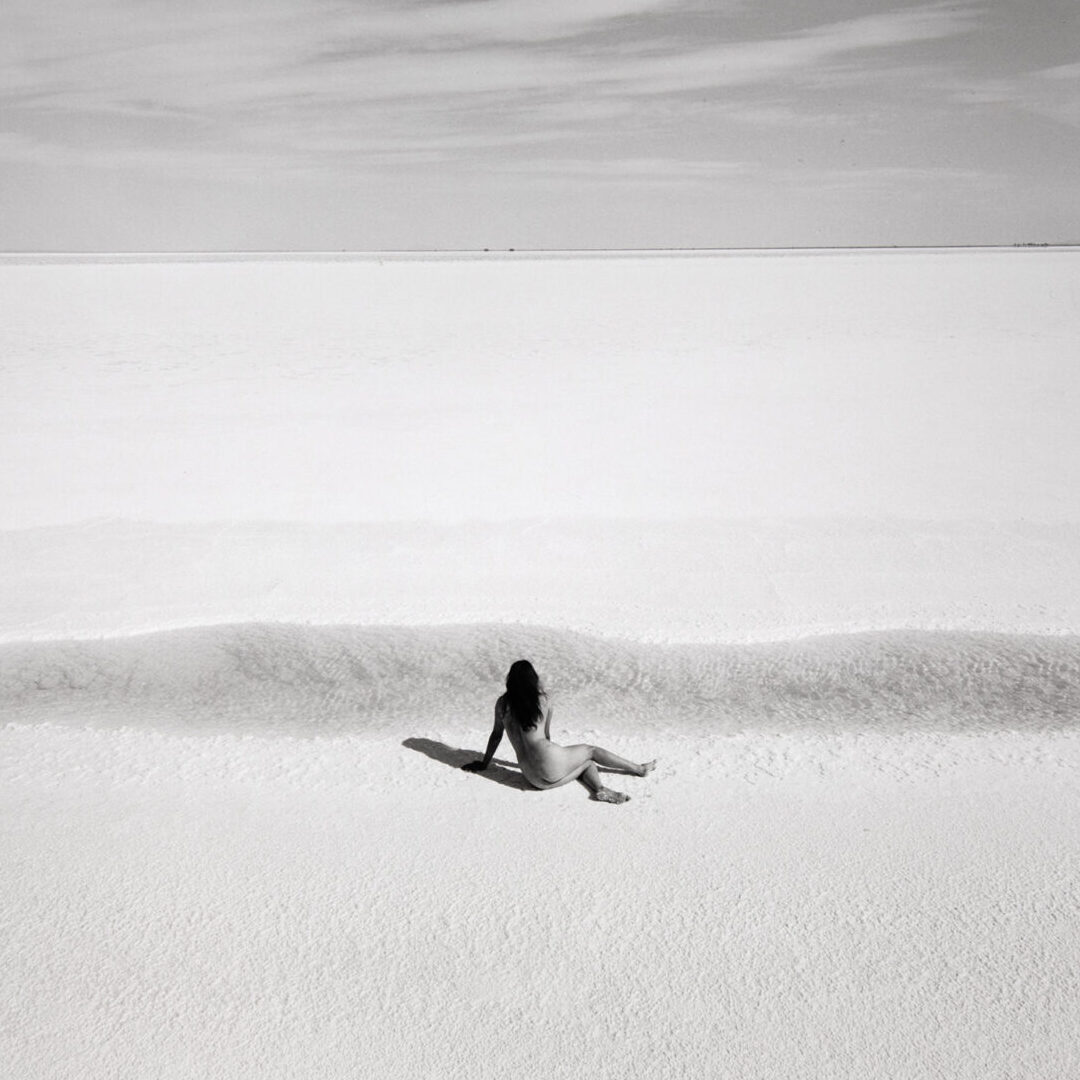 Artist Conversation: Judy Dater 