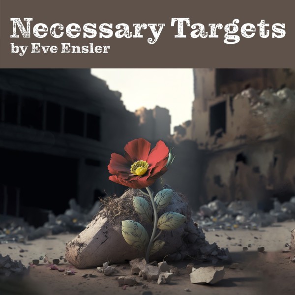 NECESSARY TARGETS by Eve Ensler