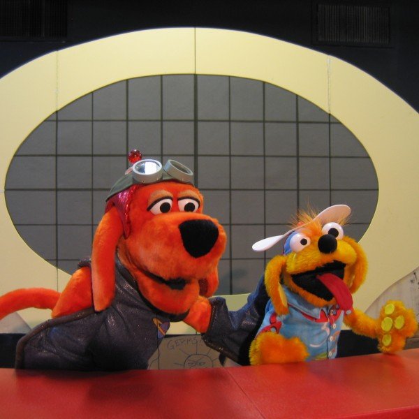 Captain Healthy & Safety Dog