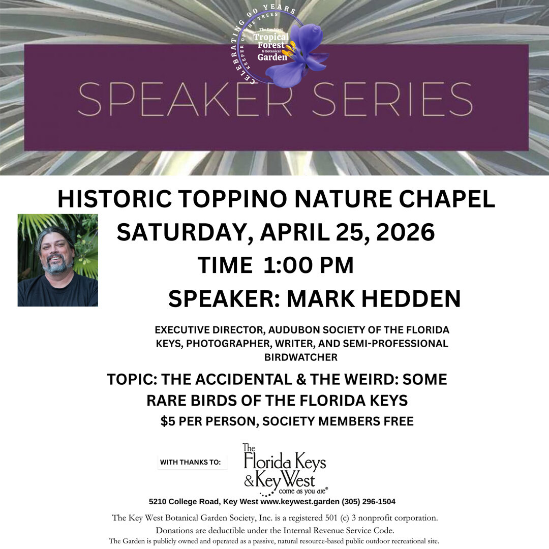 Speaker Series | Mark Hedden