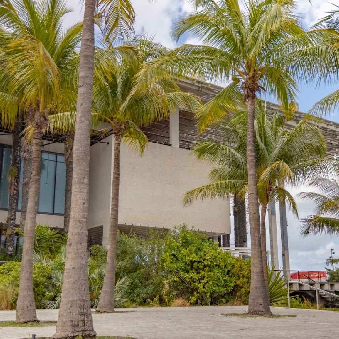 Museum Community Market Presented by Pérez Art Museum Miami & Phillip and Patric