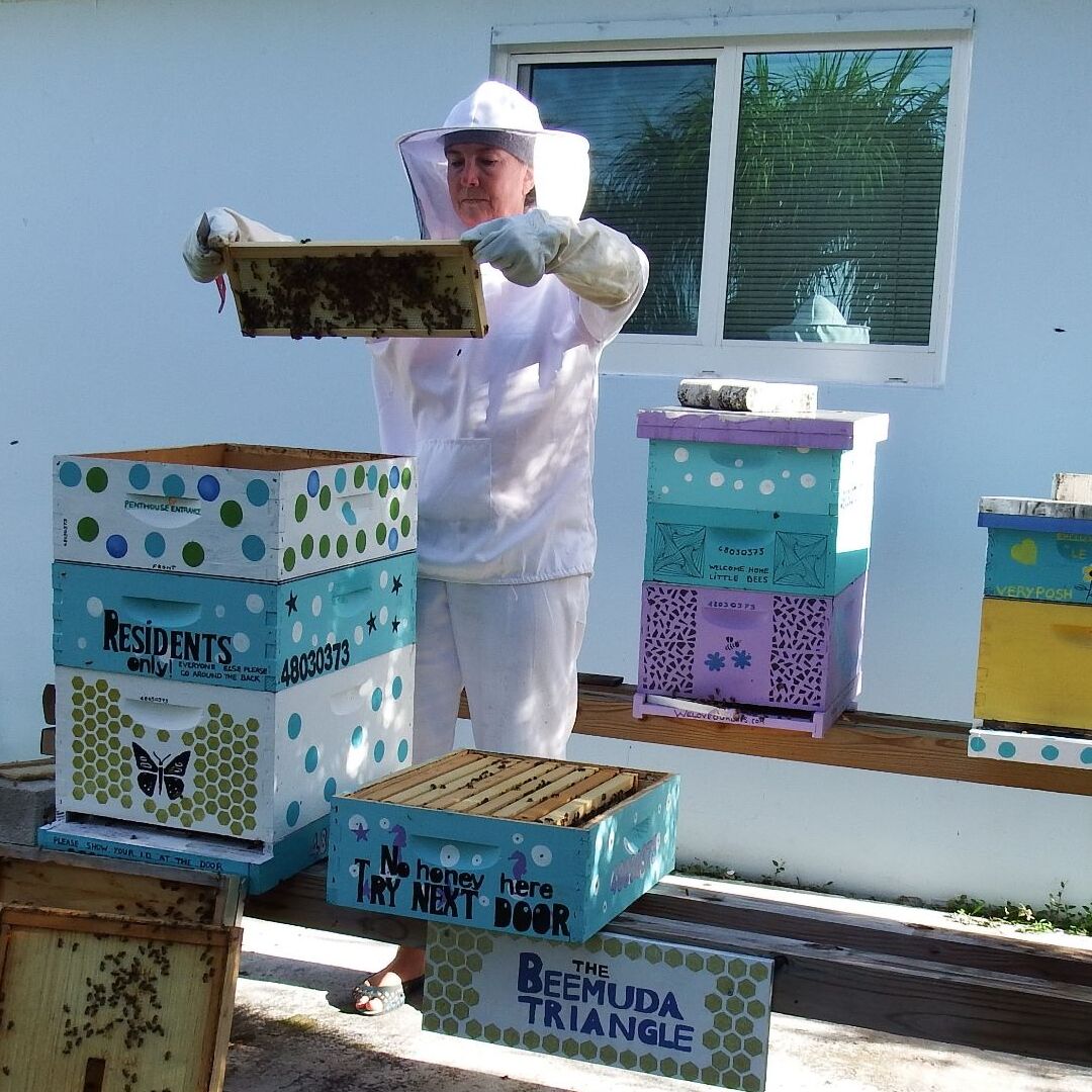 Is Beekeeping Right for You? 