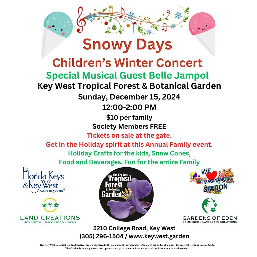 Snowy Days Children’s Winter Concert