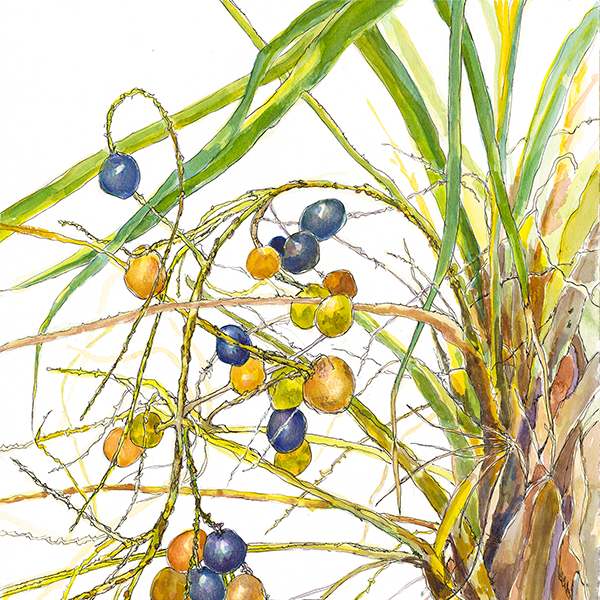 Fruition by Tropical Botanic Artists
