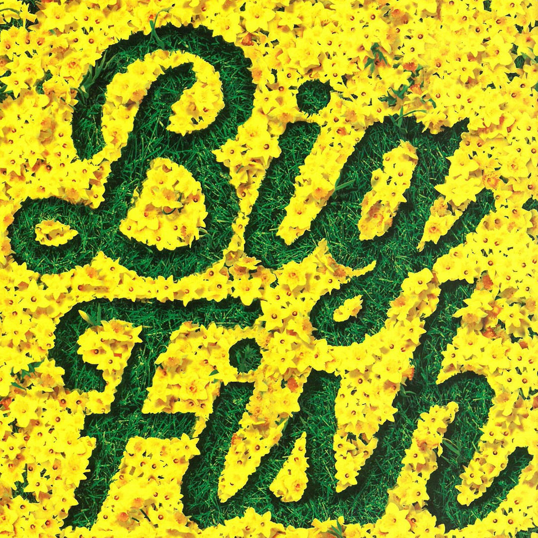 Big Fish