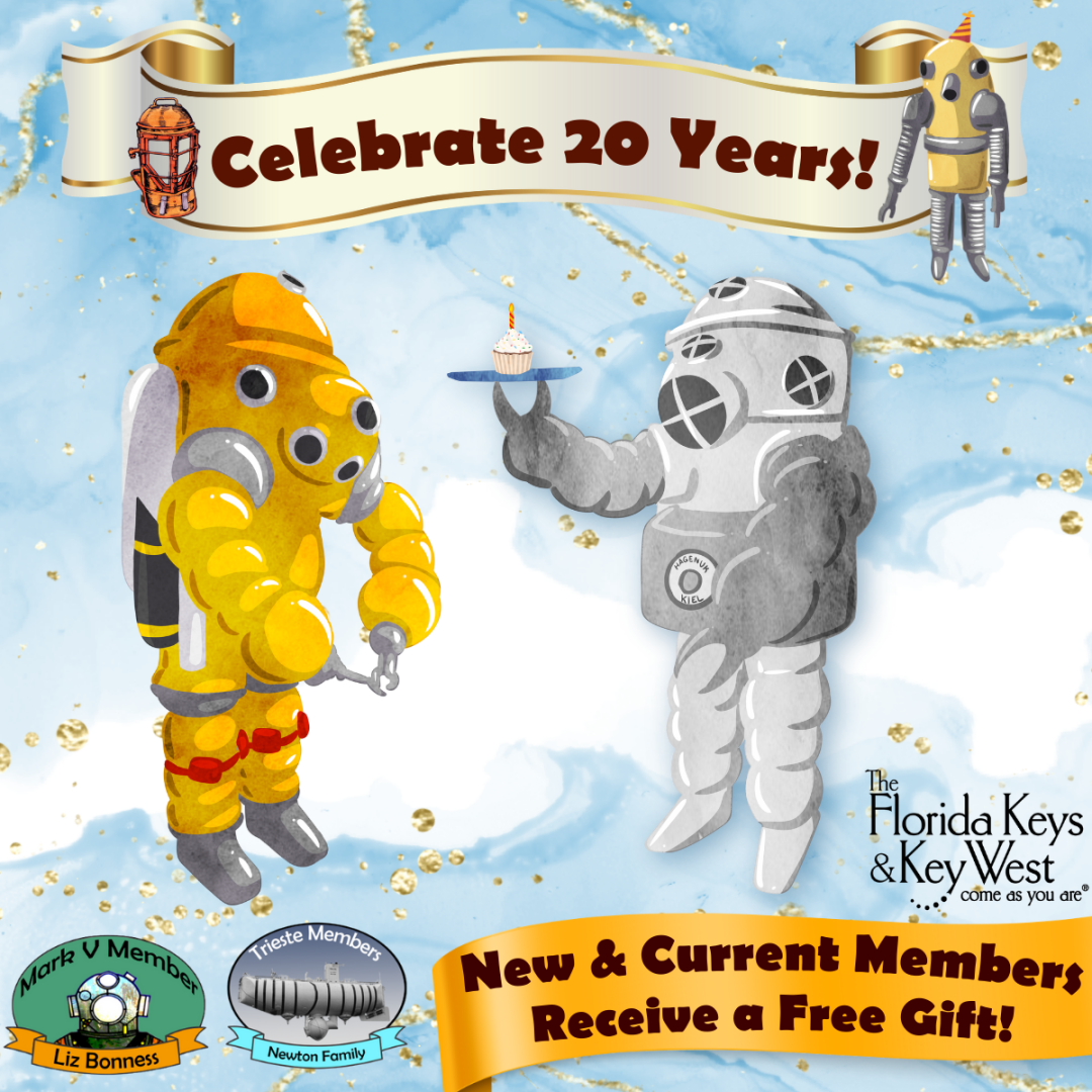 20th Anniversary Celebration Reception!