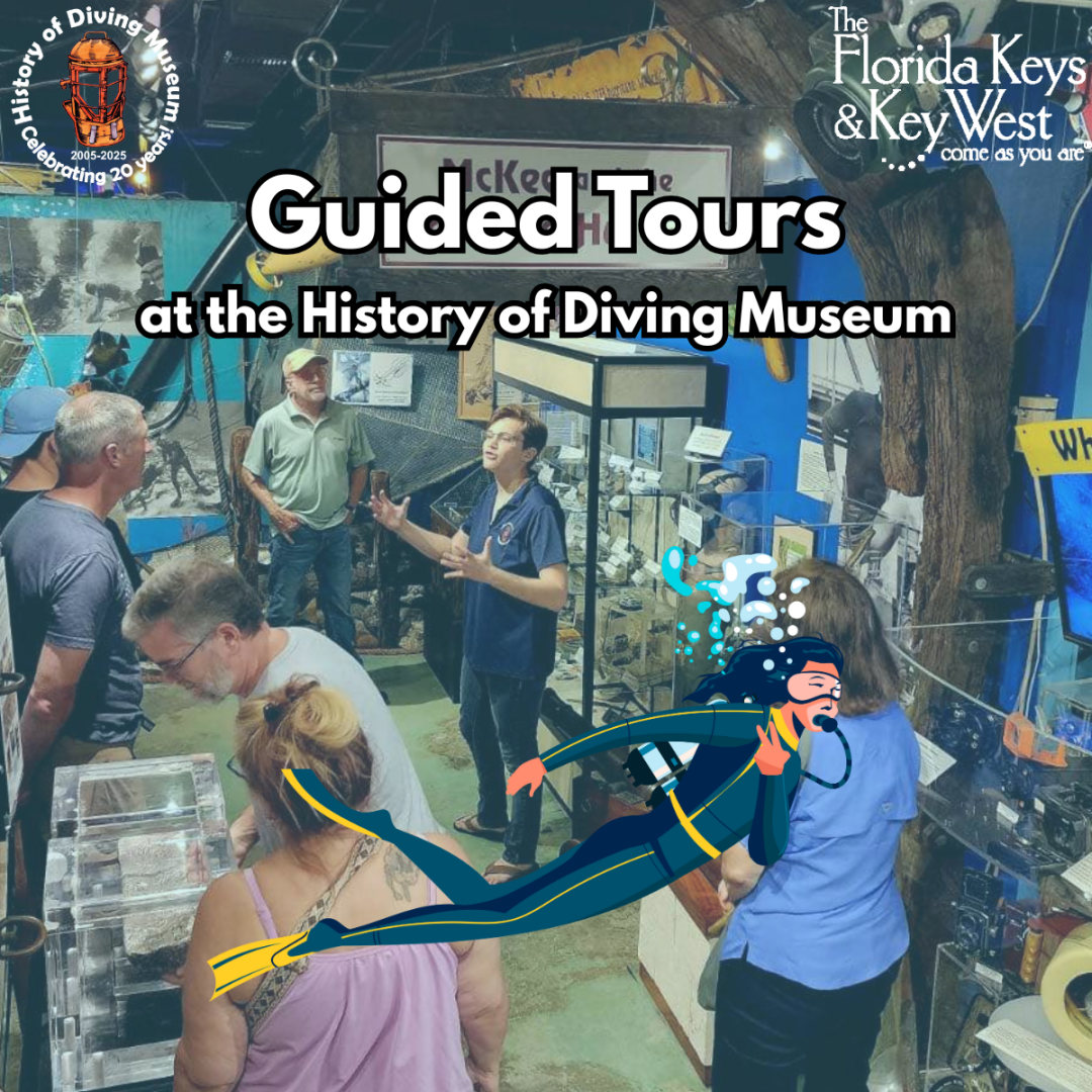 Guided Tours - Women's Dive Day 