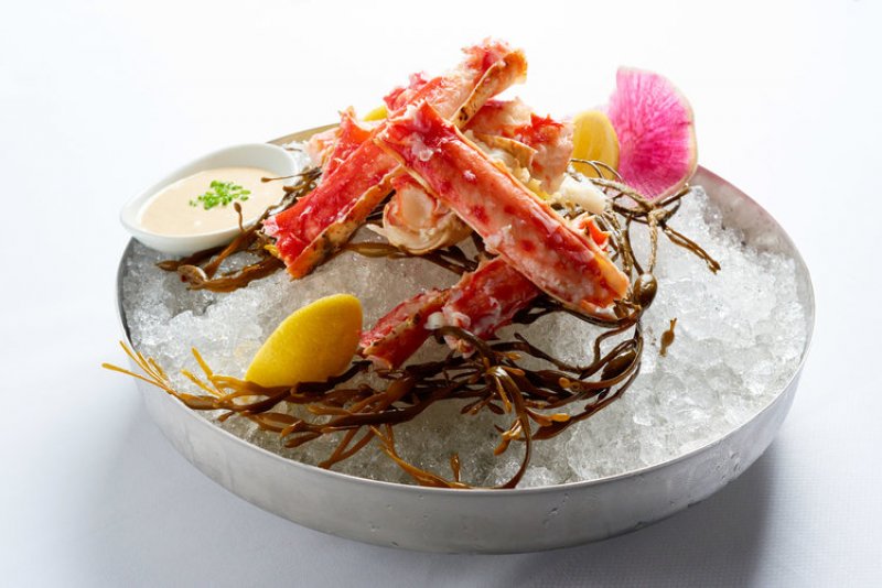 Diplomat Prime Hollywood, FL CultureOwl