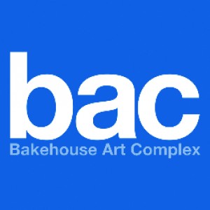 Bakehouse Art Complex