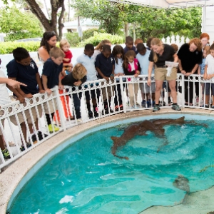 Sandoway Discovery Center