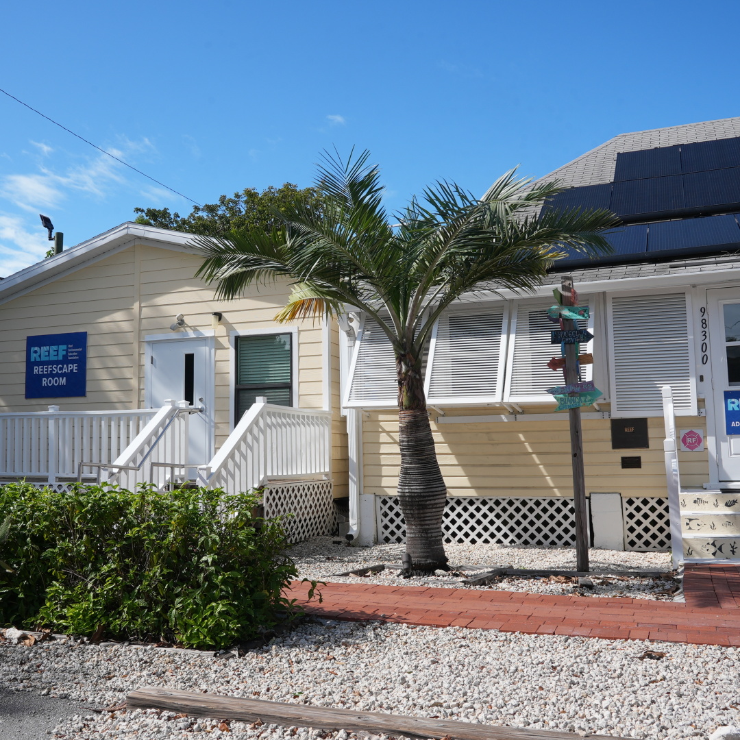 REEF Campus