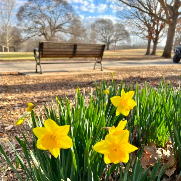 Piedmont Park